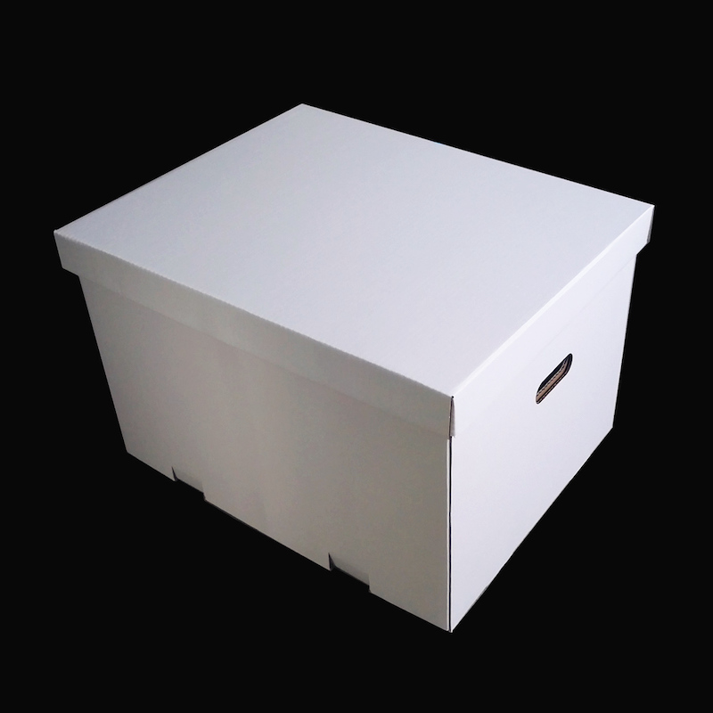 Χάρτινο κουτί για έγγραφα Big Bride Boxes